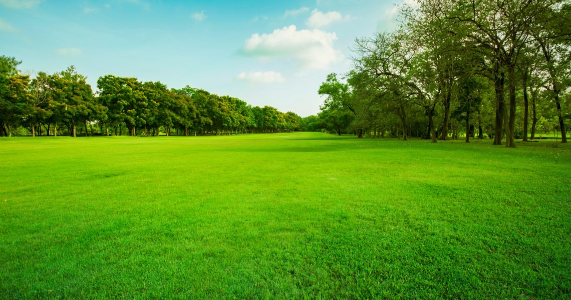 Construction court de tennis hyères